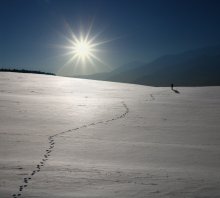 Weit weg ...... / ***