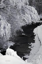 Flowing stream ... runs a stream ... / ***