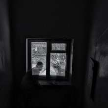 Dialogue / ***