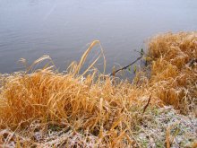 Spätherbst / ***