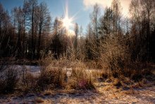 Winter Day / ****