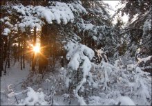 Winter Sketch / ...