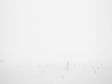 Nebel im Winter / ***