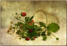 Oh, how sweet strawberry smell of sunshine and spring ... / ***
