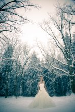 Forest Fairy Tale / ***