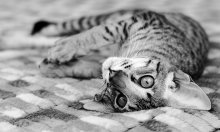 Come and play with me ... well ... come play as well? / *************