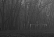 gray - gray morning / ---