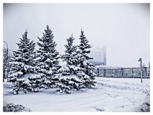Winter Fog / ***