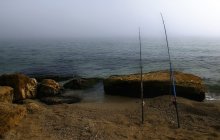Fishing time / ---------------