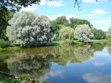 Near the castle / ***