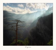 Der Sonne entgegen / *******
