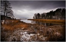 a quiet nook / ***