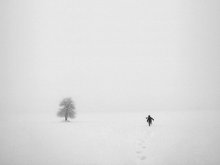Wildbirne / ***