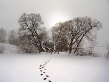 Winter Pond / ***