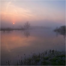 Morning in the two flood / ***