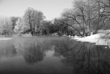 Winter / ***
