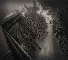 Dizzy ... (2) / ......