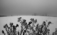 disharmony / ---