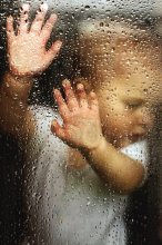 the rain / ............