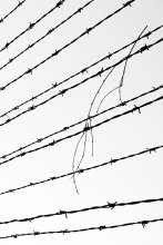 Auschwitz / ***