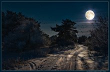 Wintermärchen / ***