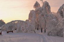Vanilla Winter / ***