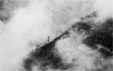 Cloud / ***