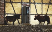 Wessen - der Bauernhof .. / *** **** **** ****