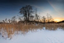 winter, cold / ***