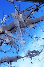 moment of winter .. / *****