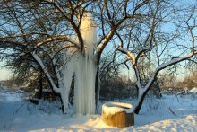 Tree "ice fountain" / ***