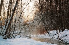 Creek and sunset - 2 / ---
