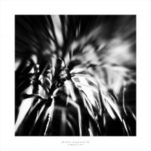 ‎[Night Visitors] / ***