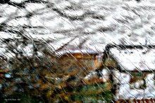 Winter in Zatoka. / ***