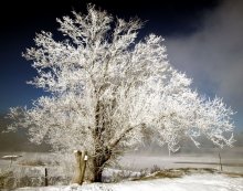 Freezing ... / ***