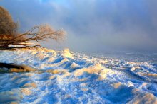 Baltic Winter / ***