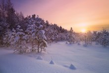 Color Dreams of winter ... / ***