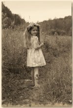 Among the grasses / ***