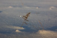 Spite of all the winds / ***