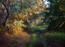 South Morning / ***
