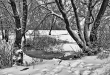 Winter sketch 6 / ******