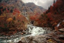 Herbstfarben / ***