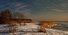 trite winter .... / ***