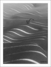 Welle / ***************