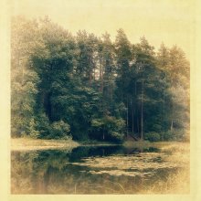 In the old lake / ***