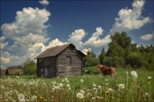 Bald wird der Sommer! / ***