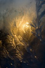 Fantasien von Frost / * * *   **