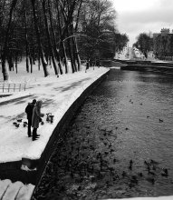 Feeding the ducks. / ***