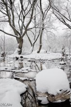Winter-Inselleben / ***
