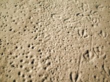 Traces / ***